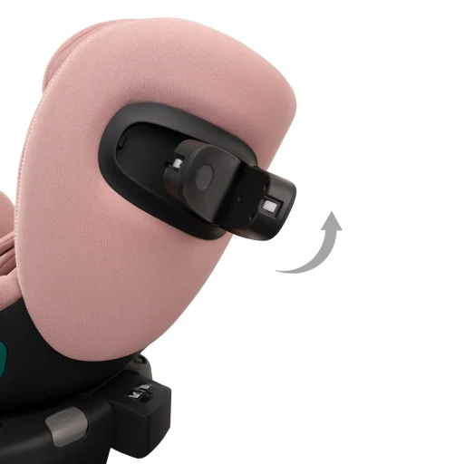 roz3d1 kopia.webp